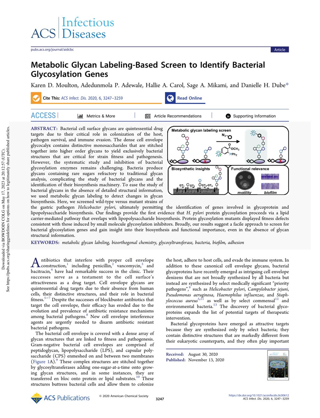 Miniature of Metabolic Glycan Labeling-Based Screen to Identify Bacterial Glycosylation Genes