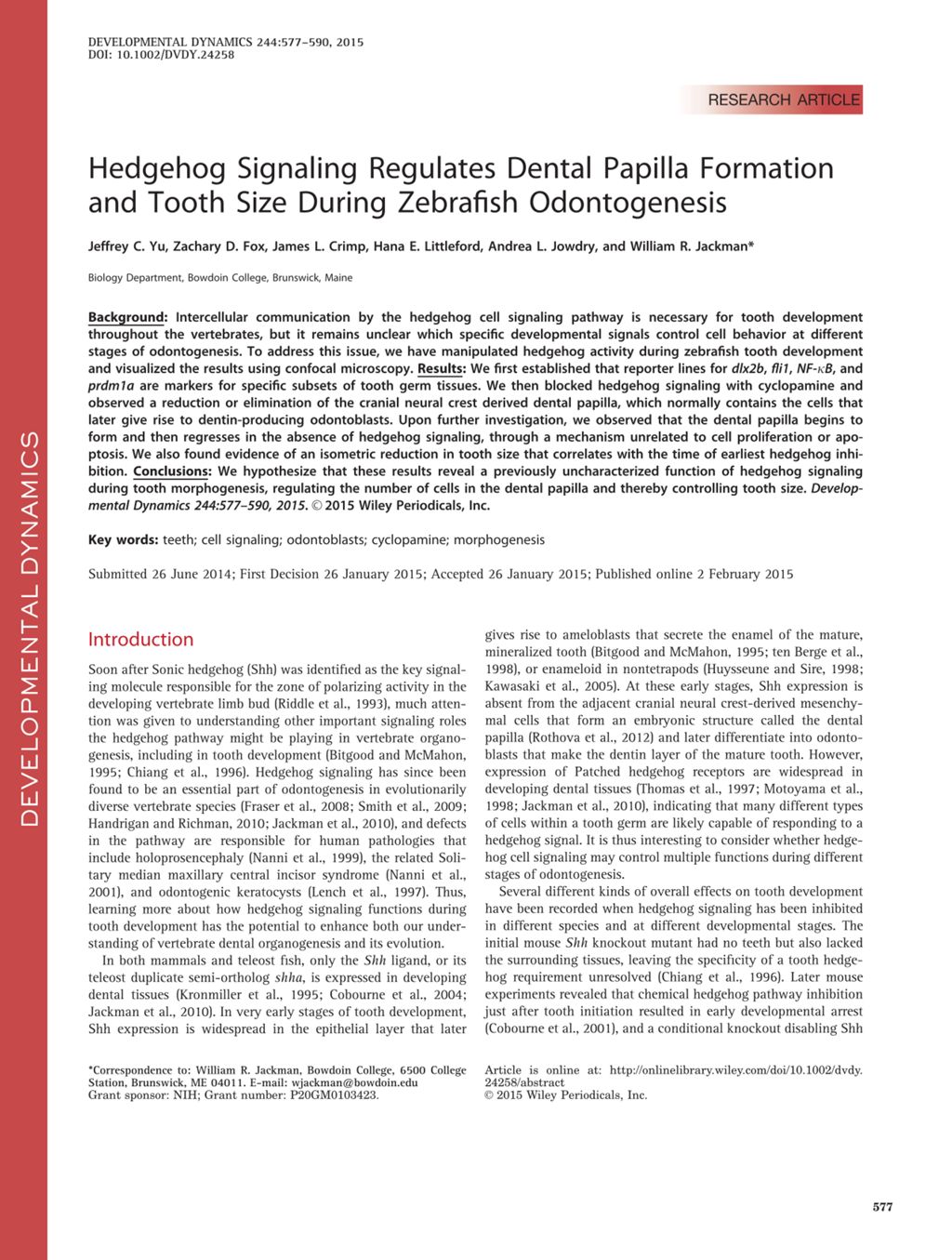 Miniature of Hedgehog signaling regulates dental papilla formation and tooth size during zebrafish odontogenesis