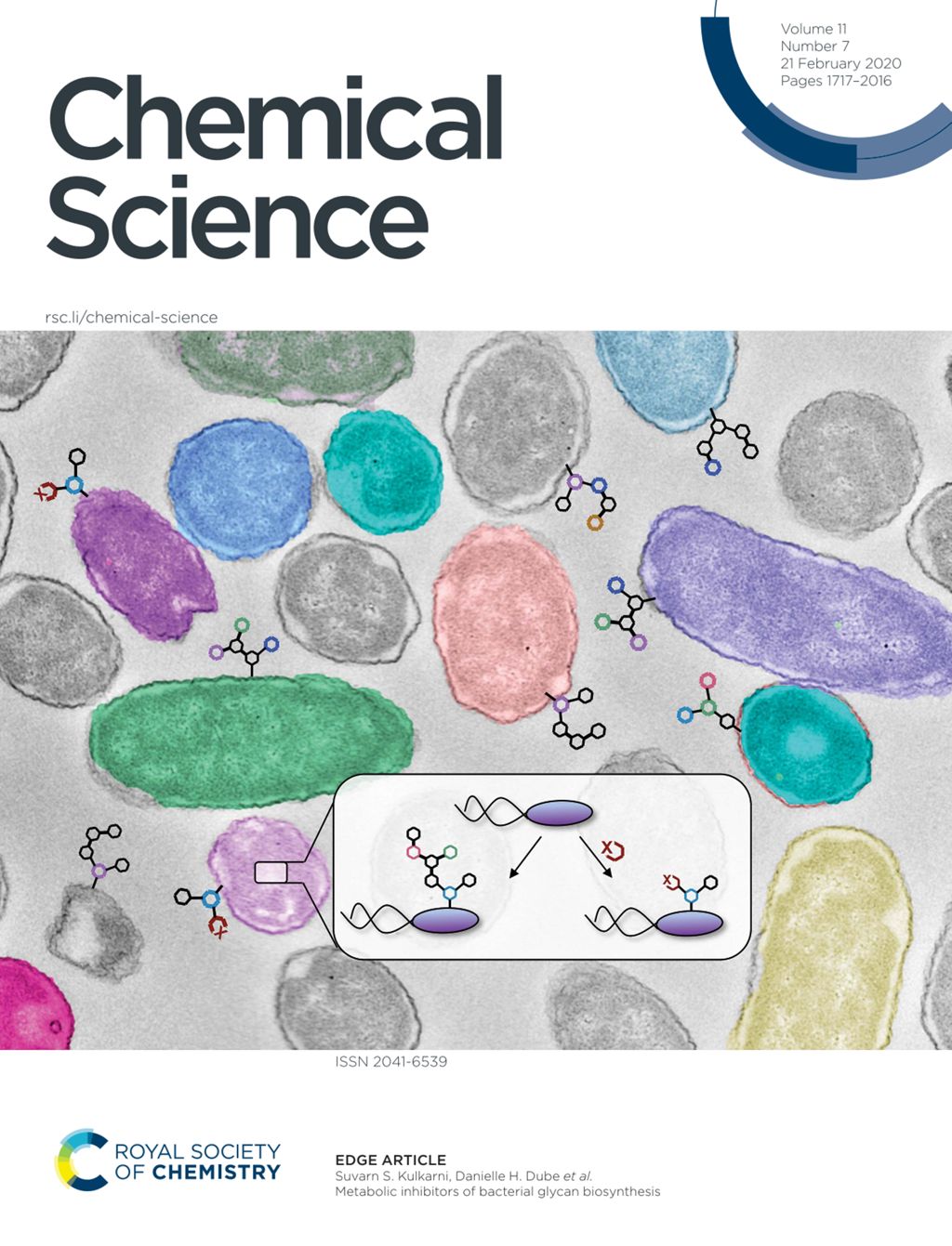 Miniature of Metabolic inhibitors of bacterial glycan biosynthesis