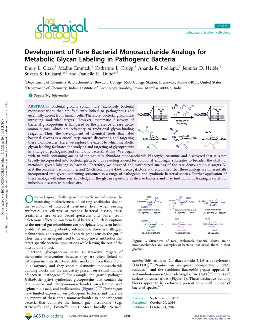 Miniature of Development of Rare Bacterial Monosaccharide Analogs for Metabolic Glycan Labeling in Pathogenic Bacteria