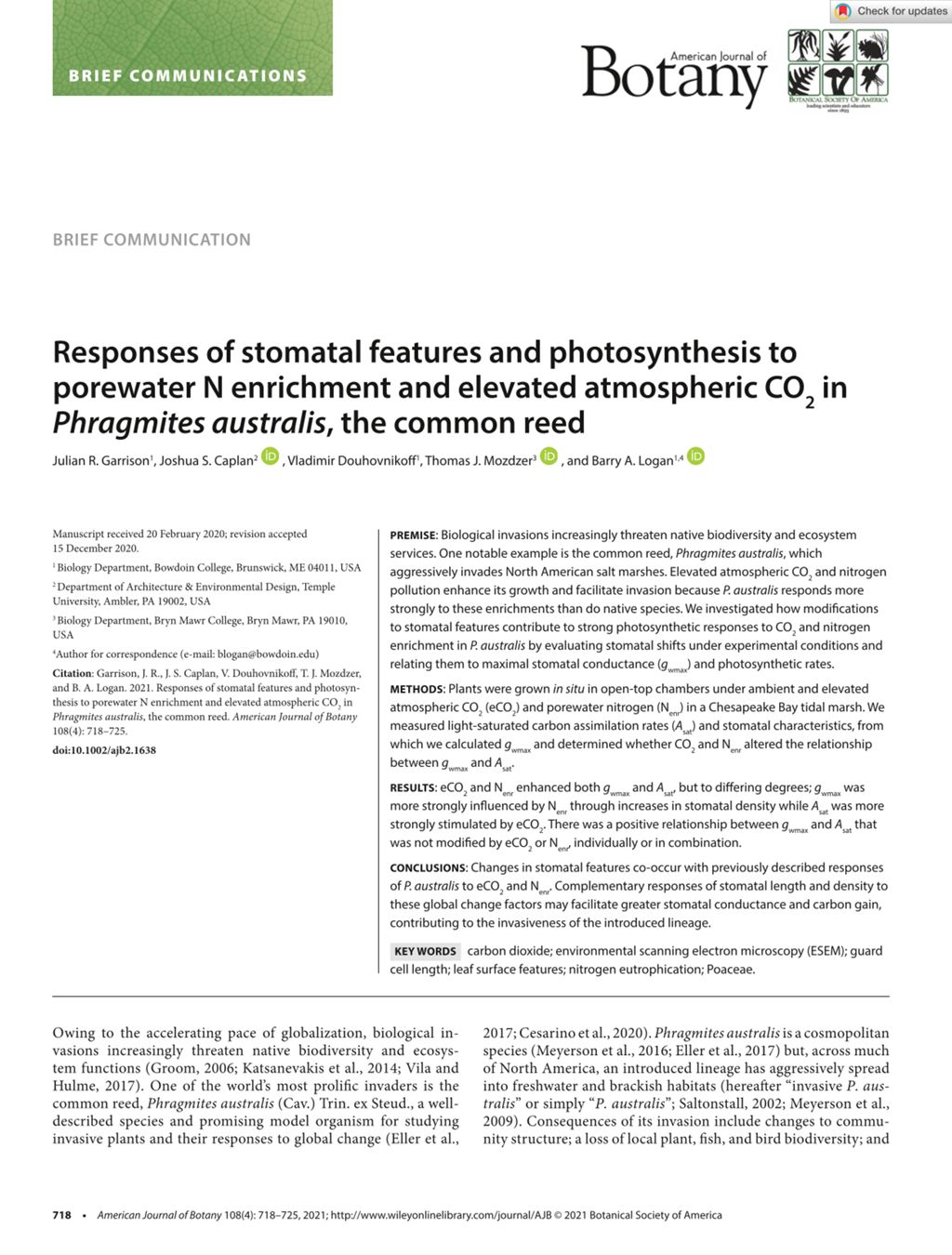 Miniature of Responses of stomatal features and photosynthesis to porewater N enrichment and elevated atmospheric CO2 in Phragmites australis, the common reed