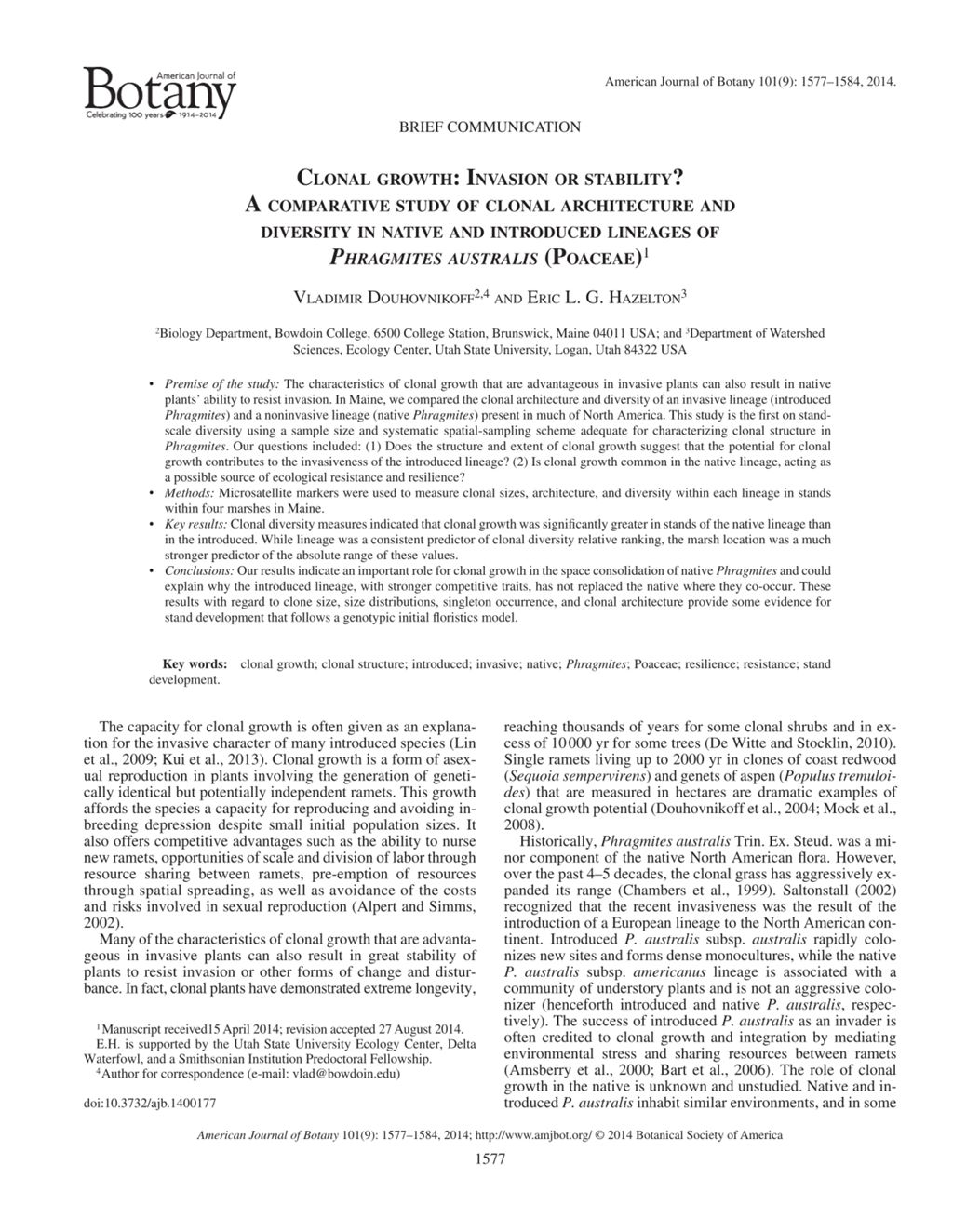 Miniature of Clonal growth: Invasion or stability? A comparative study of clonal architecture and diversity in native and introduced lineages of Phragmites australis (Poaceae)