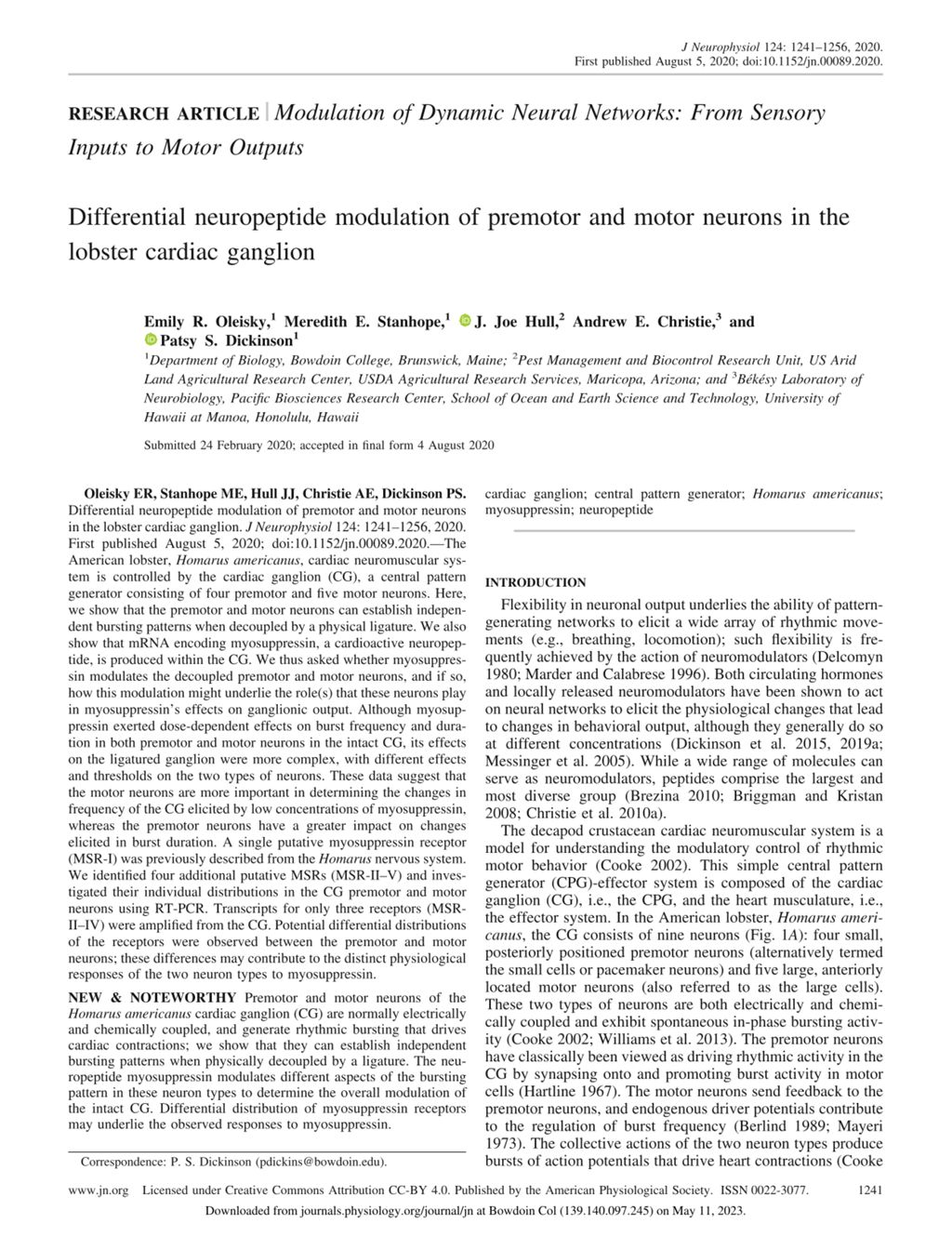 Miniature of Differential neuropeptide modulation of premotor and motor neurons in the lobster cardiac ganglion