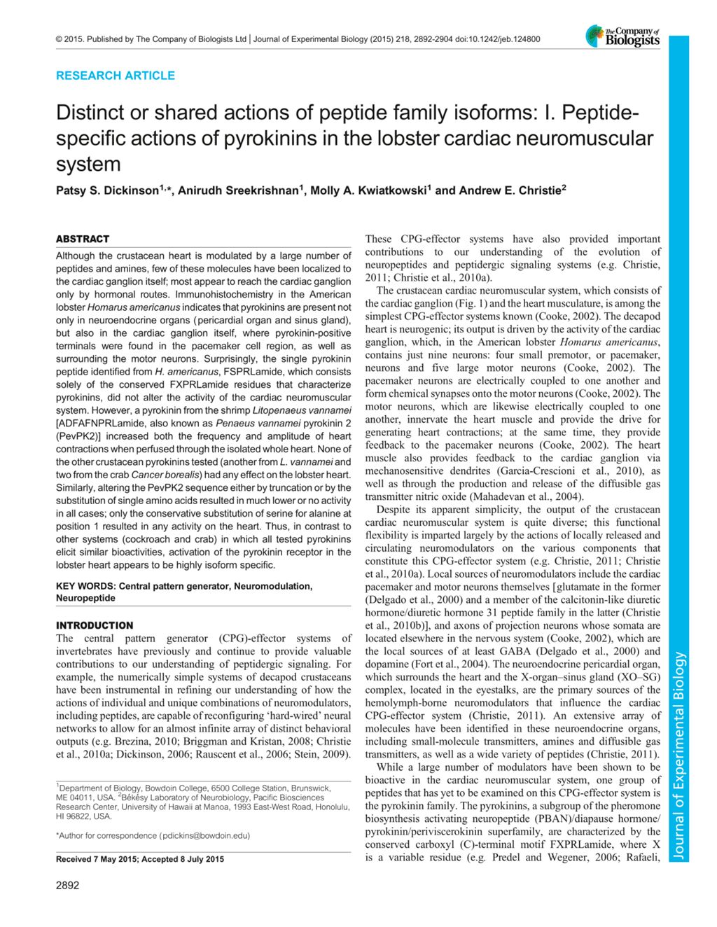 Miniature of Distinct or shared actions of peptide family isoforms: I. Peptidespecific actions of pyrokinins in the lobster cardiac neuromuscular system