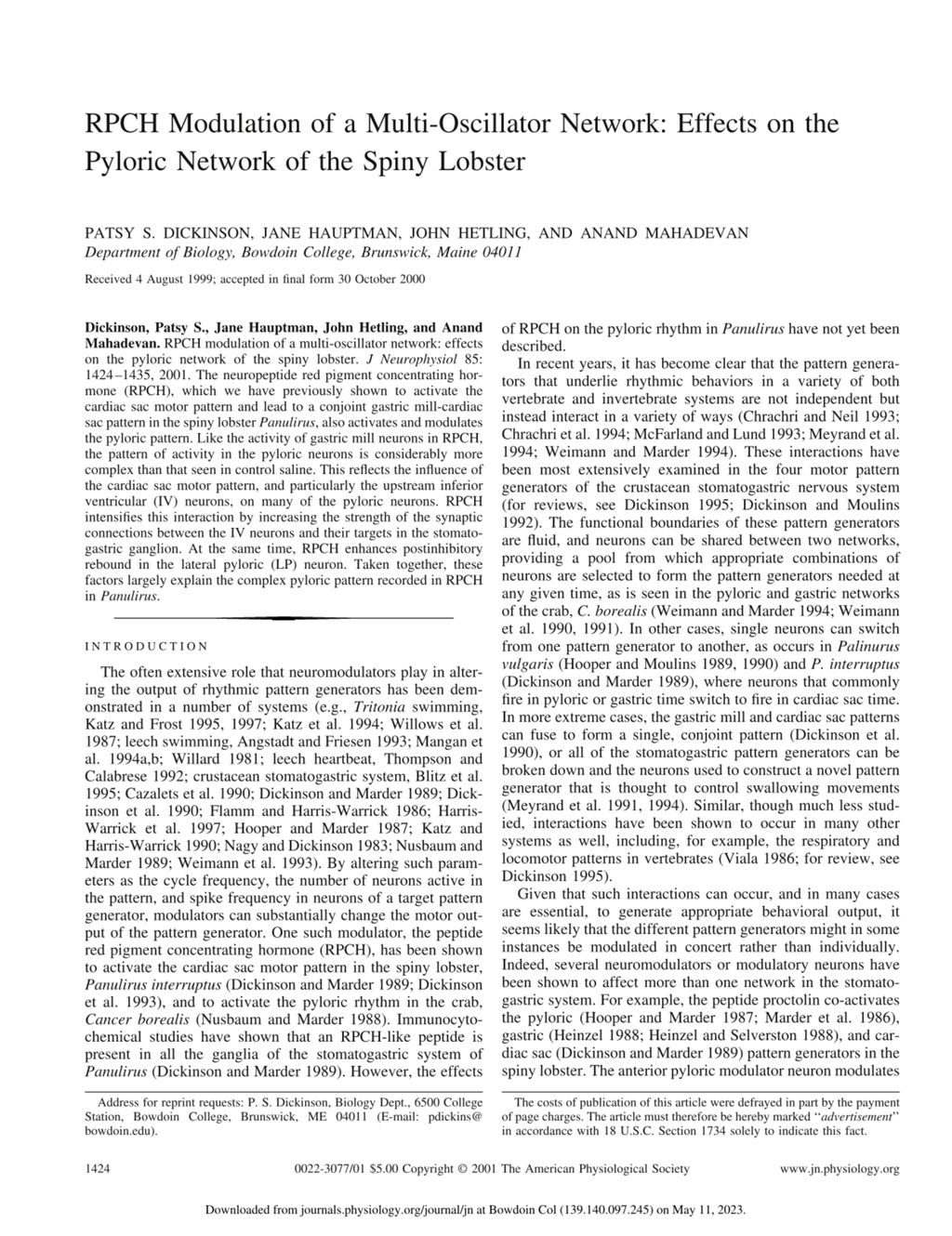 Miniature of RPCH modulation of a multi-oscillator network: Effects on the pyloric network of the spiny lobster