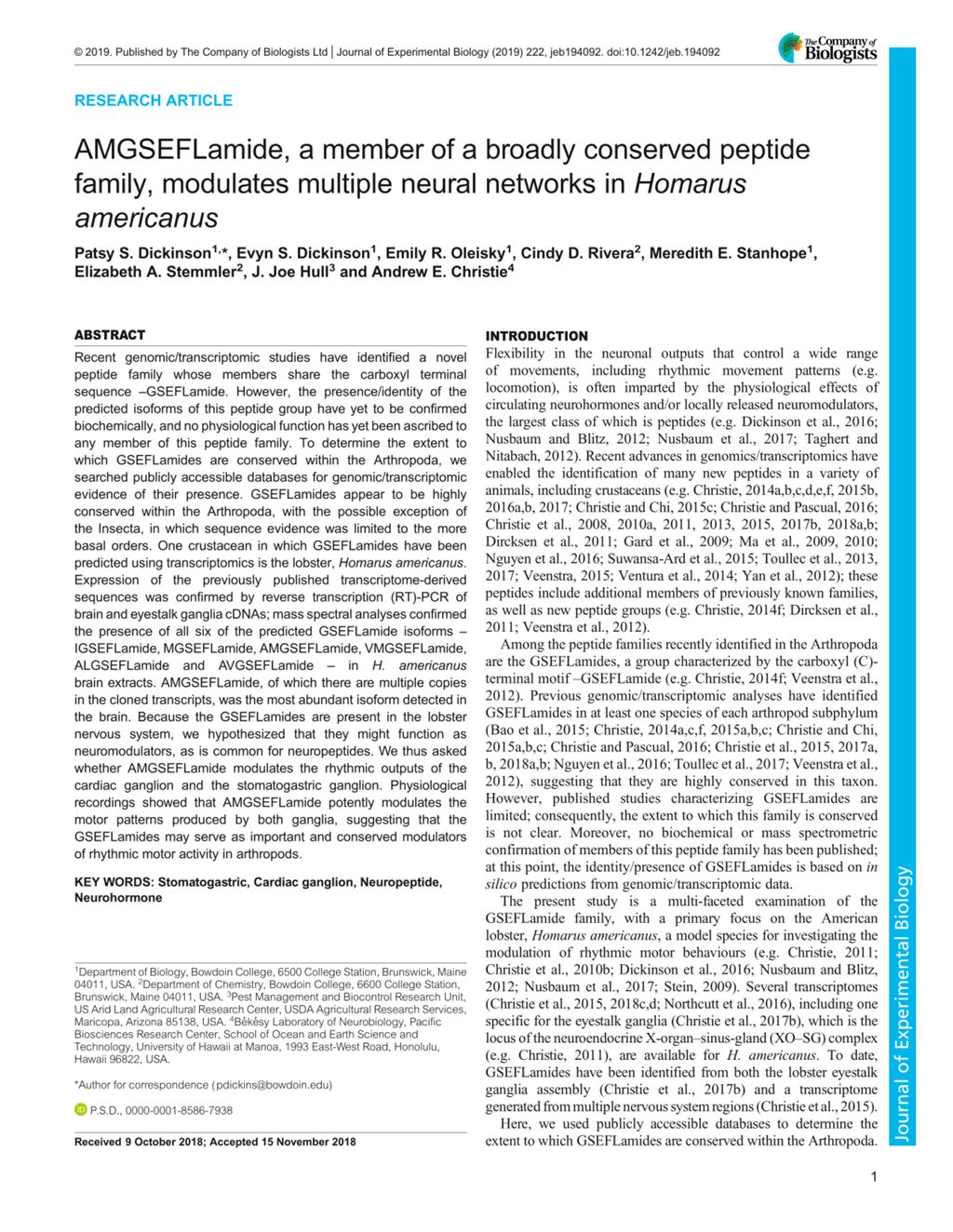 Miniature of AMGSEFLamide, a member of a broadly conserved peptide family, modulates multiple neural networks in Homarus americanus