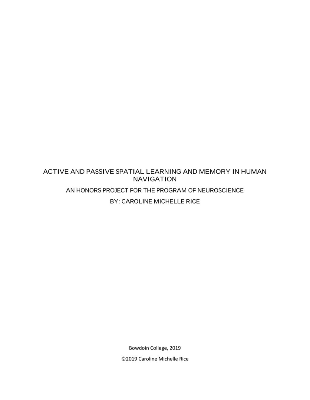 Miniature of Active and Passive Spatial Learning and Memory in Human Navigation